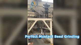 مطحنة دبوس لطحن بذور الخردل